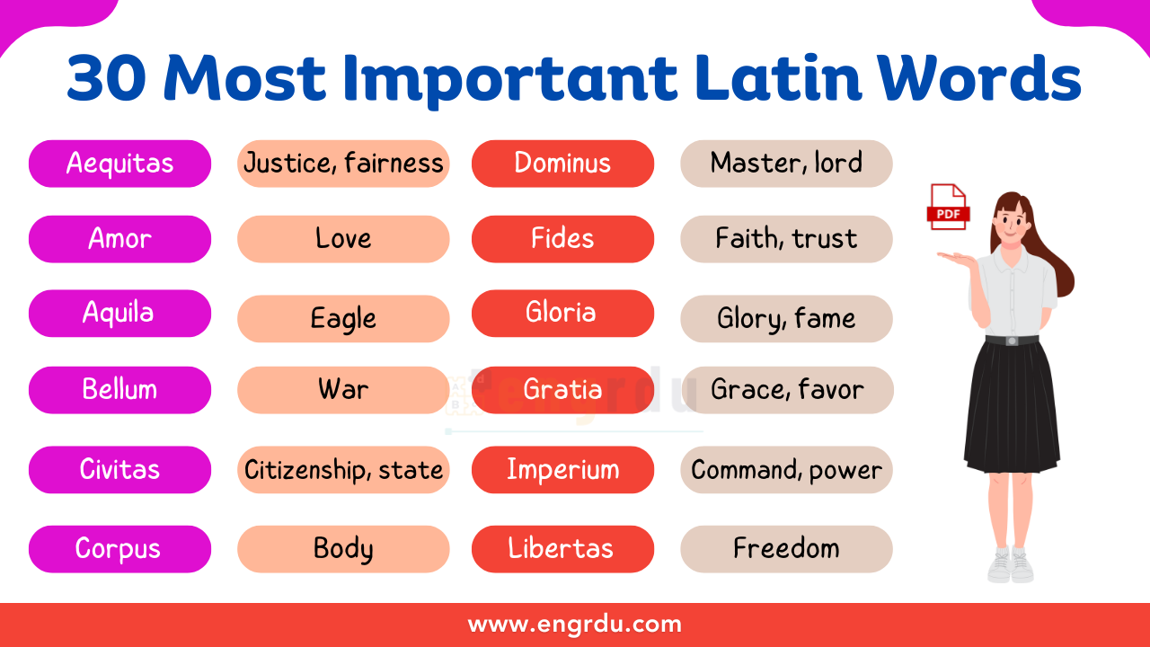 30 Most Important Latin Words with Meaning in English