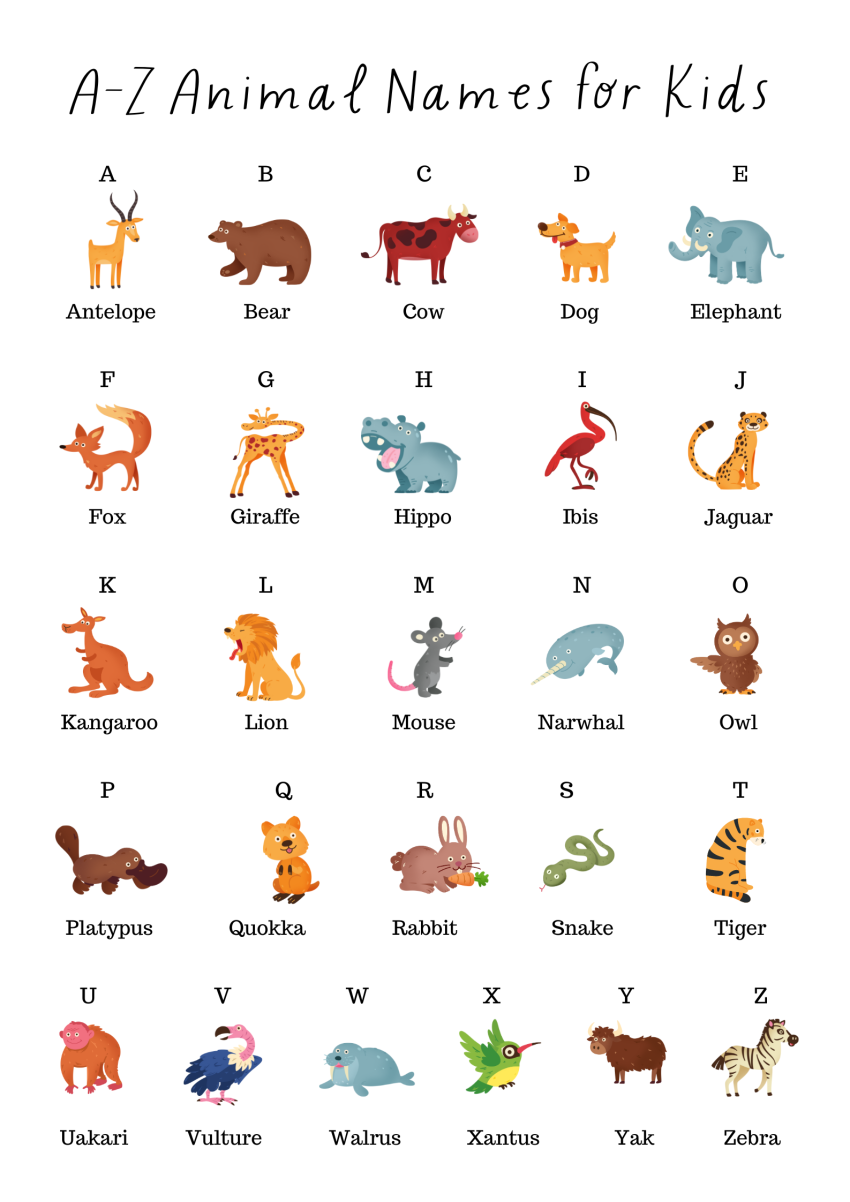 A-Z Animal Names For Kids | Animal Names for Kids - engrdu