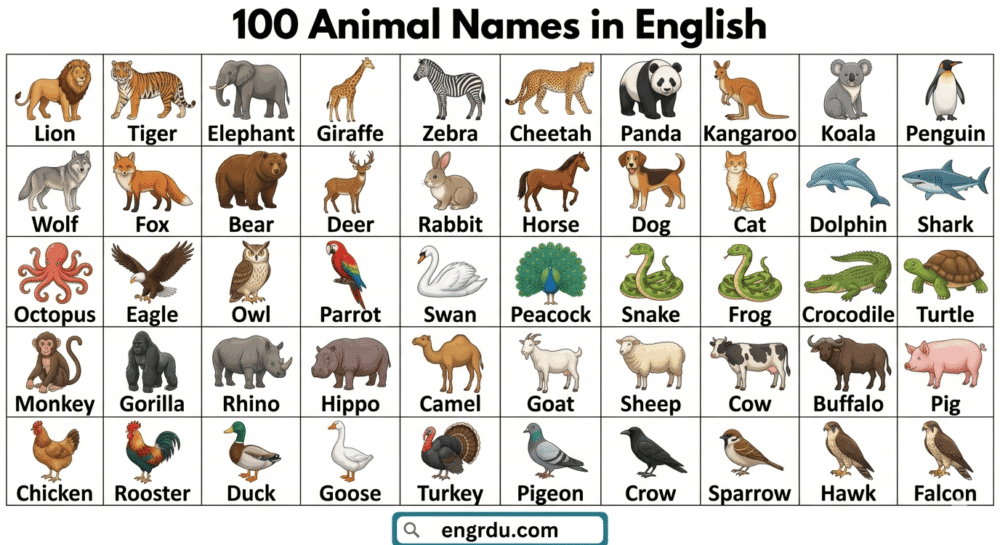 A to Z Animal Names with Images