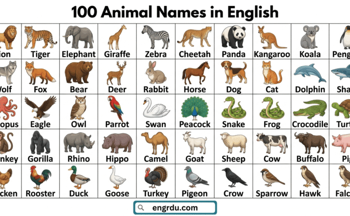 A to Z Animal Names with Images