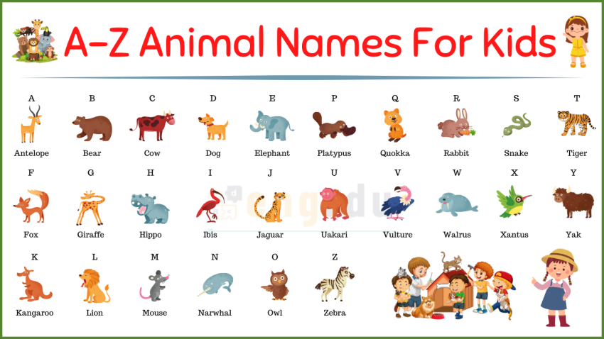 A-Z Animal Names For Kids | Animal Names for Kids