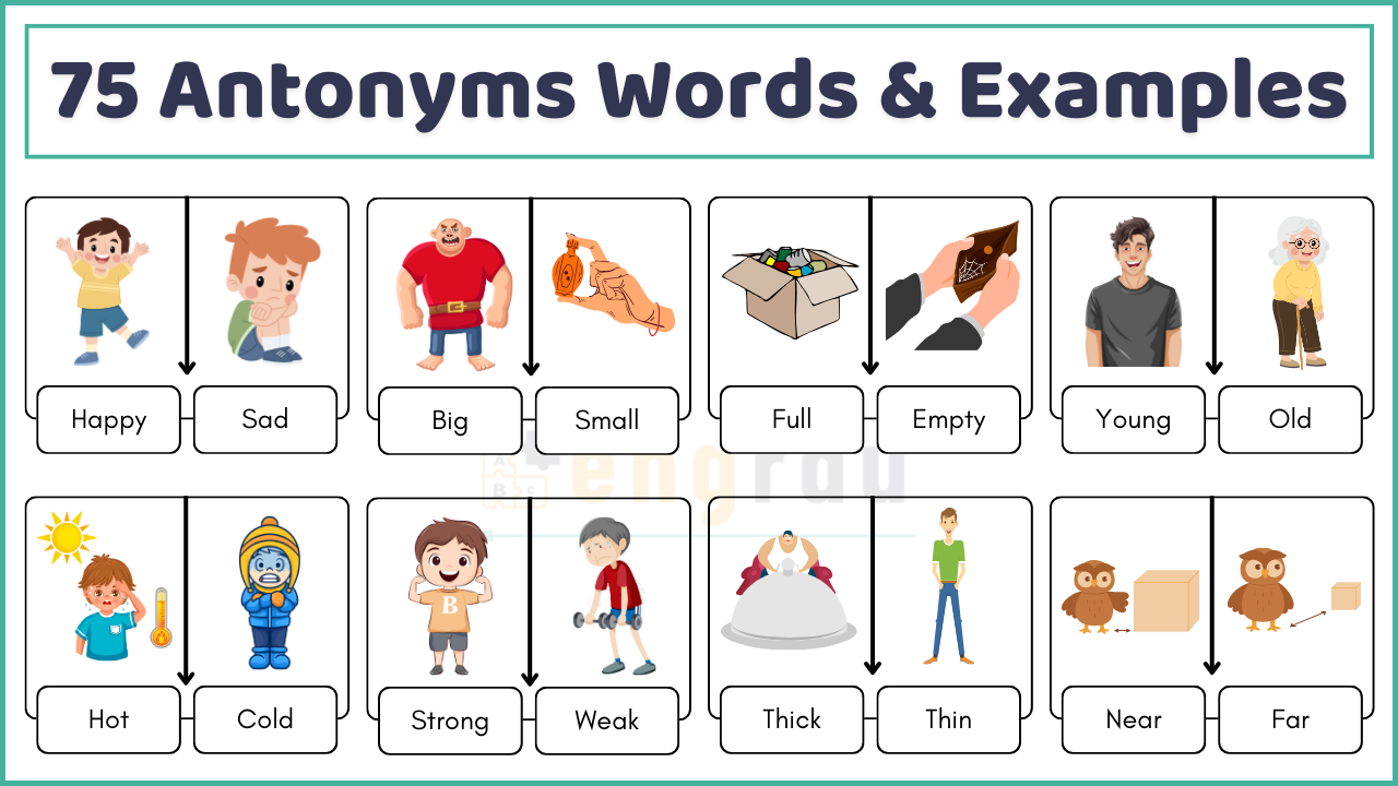 75 Common Antonyms and Examples | PDF