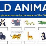 Wild Animals Worksheet PDF | Wild Animals Name