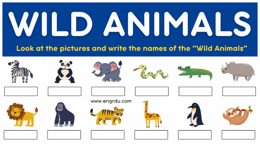 Wild Animals Worksheet PDF | Wild Animals Name