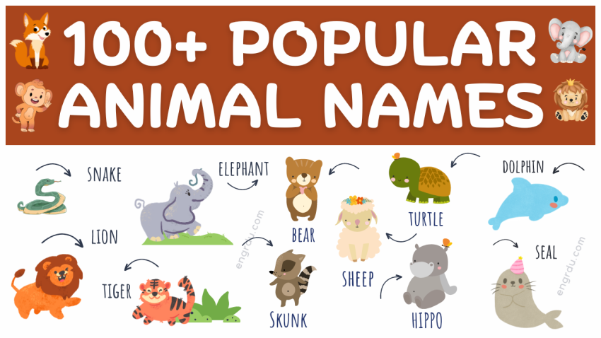 100+ Animals Name in English with Images | Animals Name