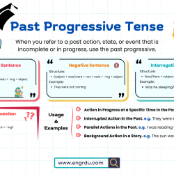 Past Progressive Tense in English with Helpful Examples