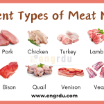 Meat Names in English with Pictures | Types of Meat