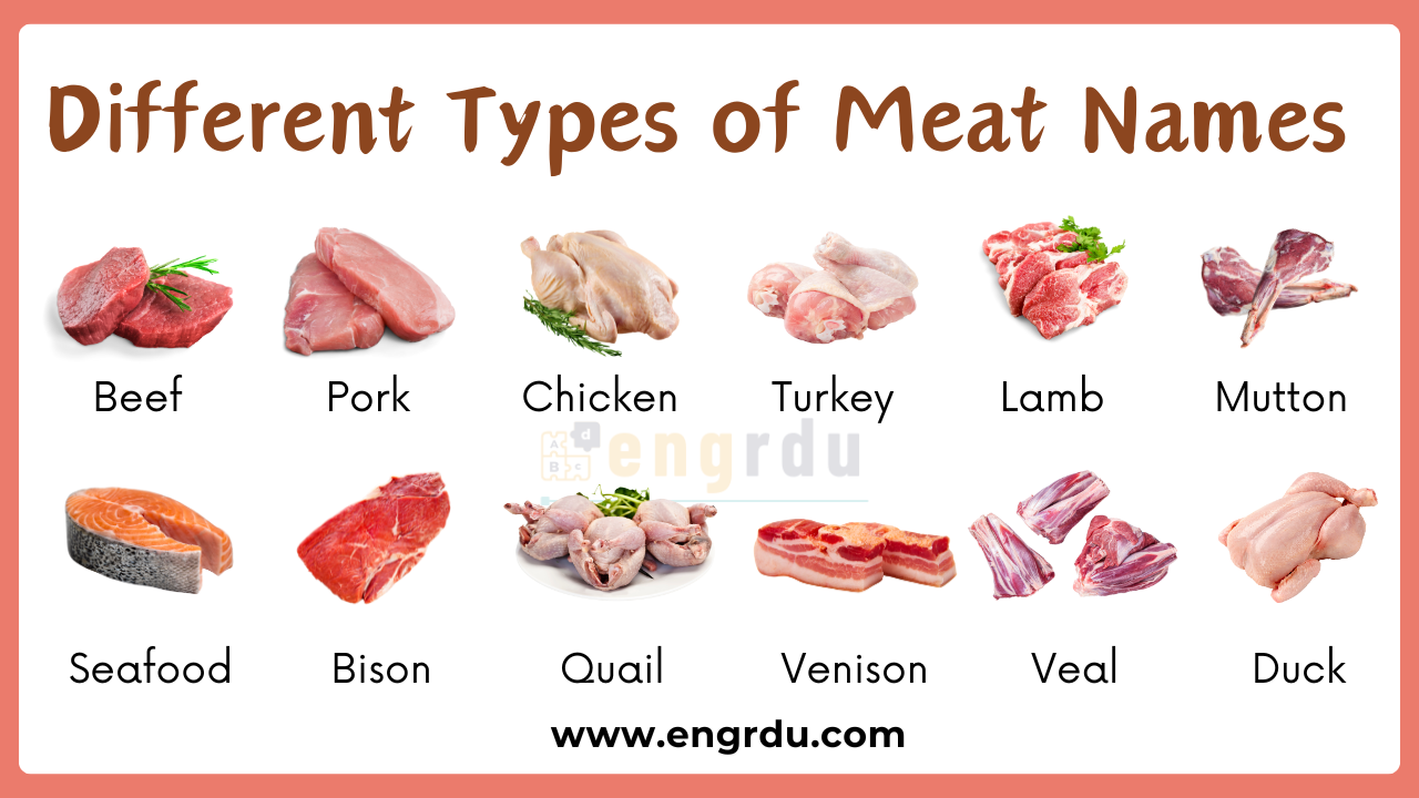 Meat Names in English with Pictures | Types of Meat