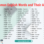 150 Common English Words and Their Antonyms with PDF