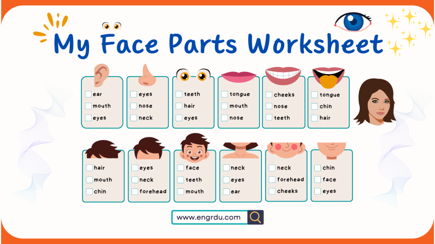 My Face Parts Worksheets with Printable PDF