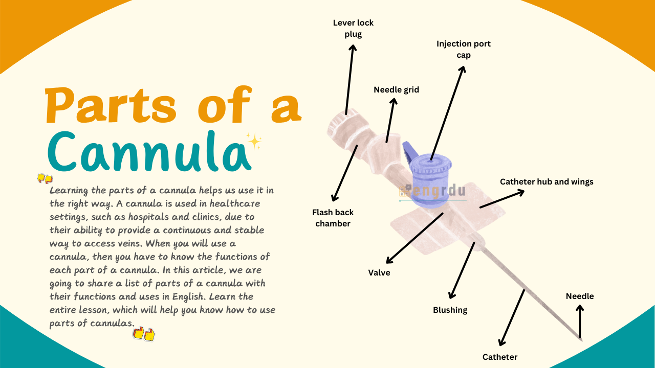 Parts of a Cannula and Their Uses