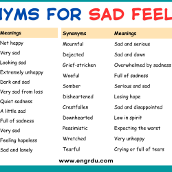 Synonyms For Sad Feelings in English with Meanings and Examples