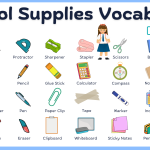 School Supplies Vocabulary with Images | 40 Things in School