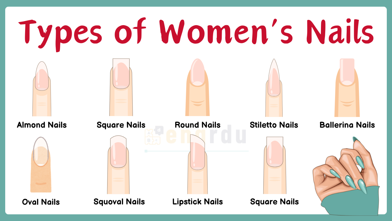 Types of Women Nails in English with Images and Meanings