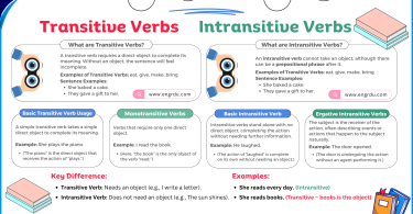 Transitive and Intransitive Verbs with Examples and PDF