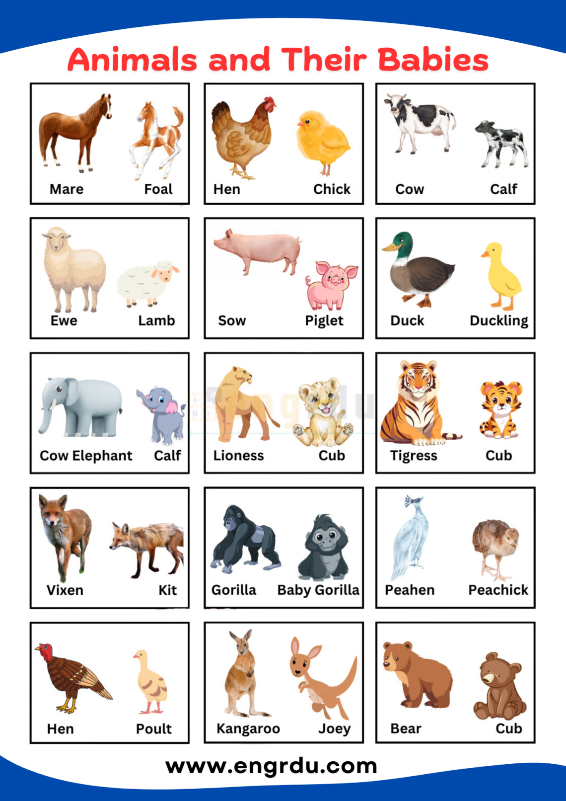 Animals And Their Babies Names With Pictures In English Engrdu Animals And Their Babies Names With Pictures In English Engrdu