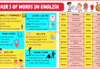 100 Pairs of Words in English with Meanings and Examples