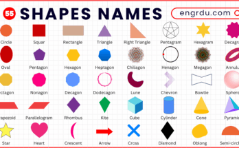 55 Shapes Names in English with Pictures