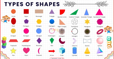 55 Shapes Names in English with Pictures