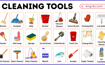 Cleaning Tools Names in English | House Cleaning Items