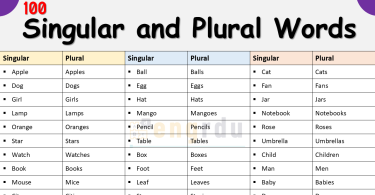 110 Singular and Plural Words You Must Know