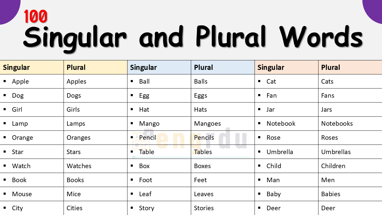 110 Singular and Plural Words You Must Know