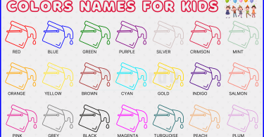 Basic Colors Names in English for Kids​