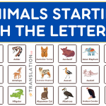 Animals Names That Start with the letter A