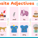 Opposite Adjectives in English with Pictures