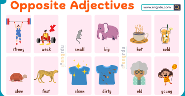 Opposite Adjectives in English with Pictures