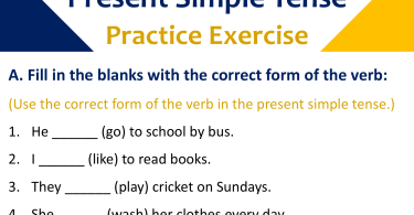 Present Simple Tense Practice Exercise