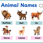 20+ Farm Animals Names in English with Pictures