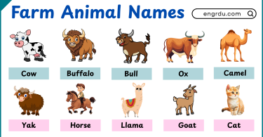 20+ Farm Animals Names in English with Pictures