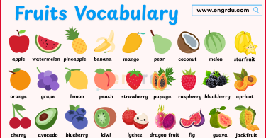 Fruits Vocabulary for Kids​ in English with Pictures and PDF