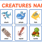 Sea Creatures Names for Kids​ in English with Pictures