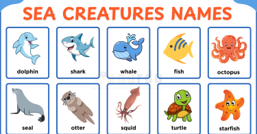 Sea Creatures Names for Kids​ in English with Pictures