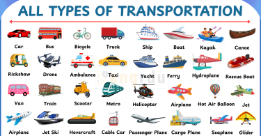 100+ Transport Names A to Z List in English with Pictures