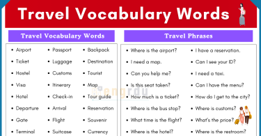40 Travel Vocabulary Words with Meanings and Phrases in English