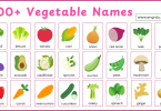 80+ Vegetable Names in English for Children​ with Pictures