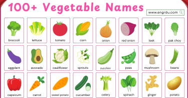 80+ Vegetable Names in English for Children​ with Pictures