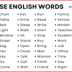 100 Daily Use English Words for Beginners Level