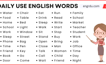 100 Daily Use English Words for Beginners Level
