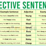 100 Adjective Examples in Sentences