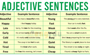 100 Adjective Examples in Sentences