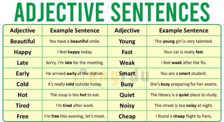 100 Adjective Examples in Sentences