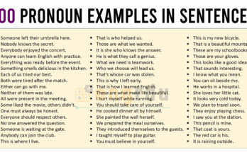 100 Pronoun Examples in Sentences