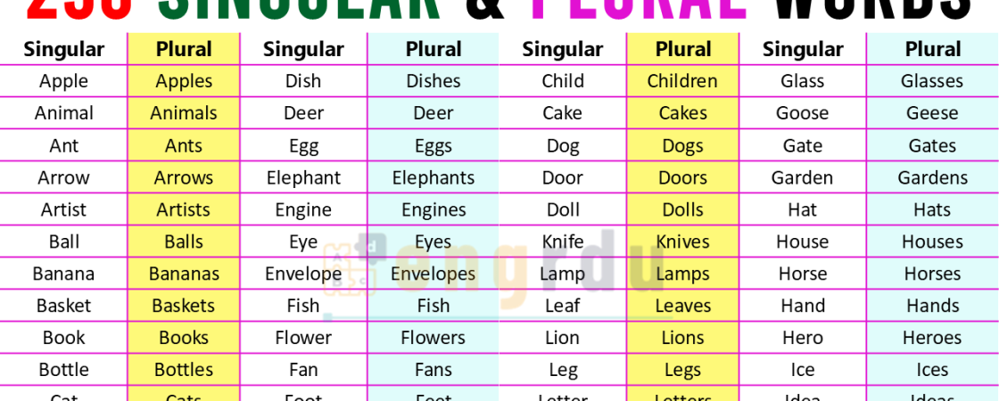 250 Singular and Plural Words Examples in English