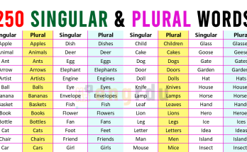250 Singular and Plural Words Examples in English