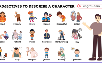 Adjectives for Describing a Character