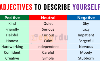 250 Adjectives to Describe Yourself | Positive and Negative Adjectives